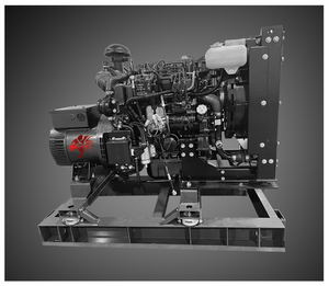 Wildcat FR0010D4 10kW Frontier 1ph Tier 4F Diesel Generator - PowerGen USA