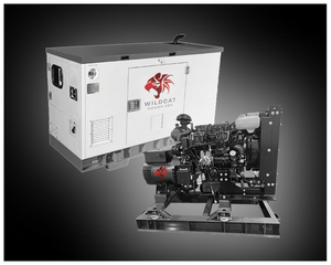 Wildcat RE0015NG 15kW Natural Gas Renegade 3ph Diesel Generator - PowerGen USA
