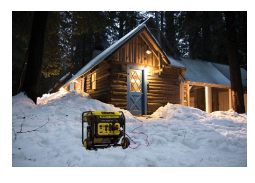 Champion 201239 7250 Watt Open Frame Inverter - PowerGen USA