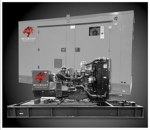 Wildcat RO0040D3 40kW Roughneck Tier 3 Diesel Generator - PowerGen USA