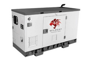 Wildcat Freedom 15kW Natural Gas Generator 120/240 Volts |FE0015NGASXP