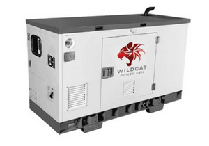 Wildcat Renegade 15kW Natural Gas Generator 3-Phase | RE0015NGCOXP