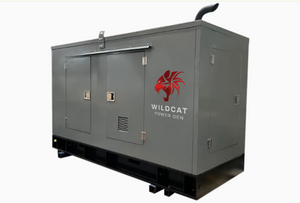 Wildcat Roughneck 30kW Natural Gas Generator 120/240 Volts Single Phase | RO0030NGAOXP