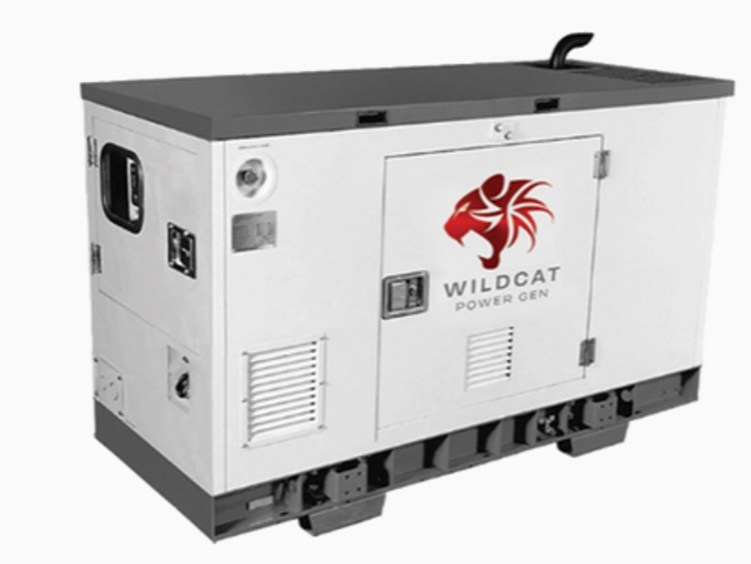 Wildcat Freedom 15kW Propane Generator 120/240 Volts |FE0015PVASXP