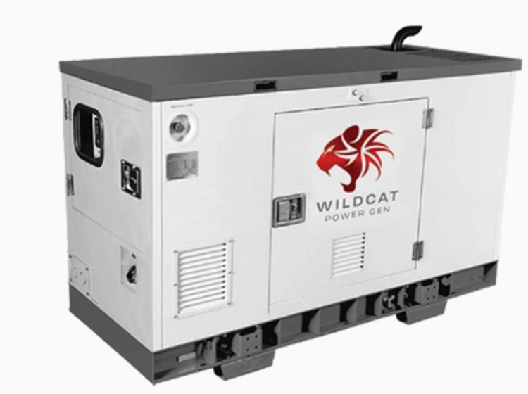 Wildcat Renegade 15kW Propane Generator 3-Phase | RE0015PVCSXP