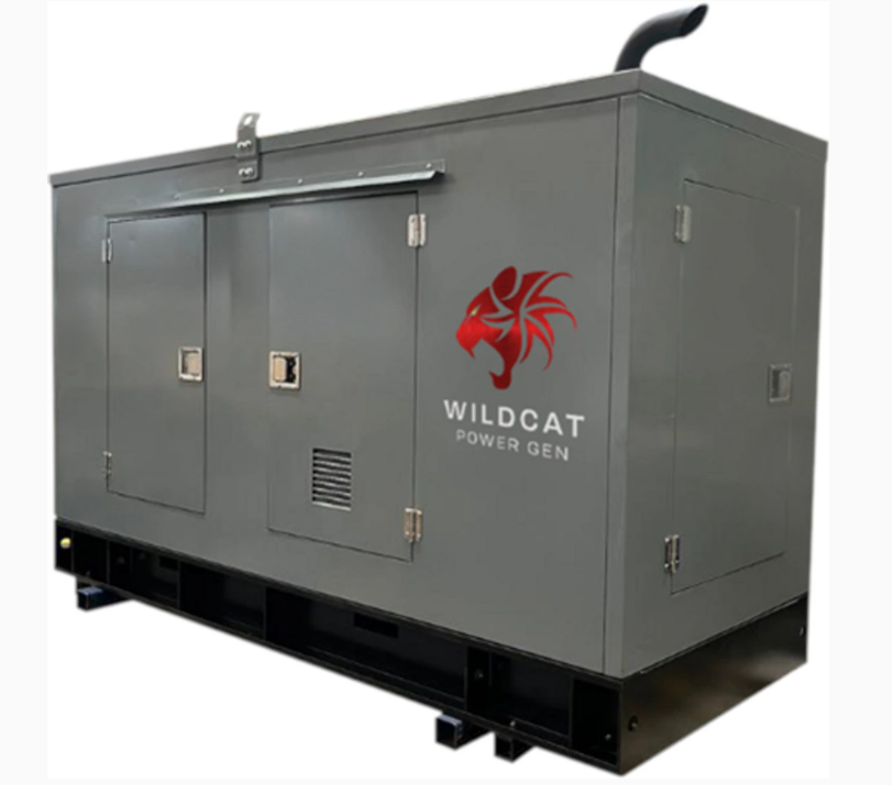 Roughneck 30kW Propane Liquid Generator 208/110 Volts | RO0030PLBSXP