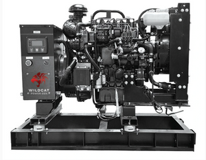 Wildcat Frontier 15kW Propane Generator 120/240 Volts | FR0015PLAOXP