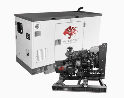 Renegade 15kW Propane Liquid Generator 240/120 Volts | RE0015PLCSXP