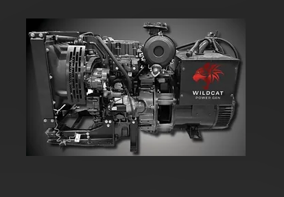 Roughneck 100kW Diesel Tier 3 Generator 208/110 Volts | Model: RO0100D3BSXE