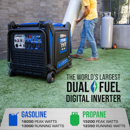 Eco-friendly dual fuel generator
